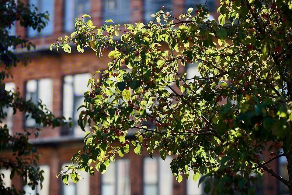 Formalinfabriken – hjärtat för Nobelbergets framtida kulturliv