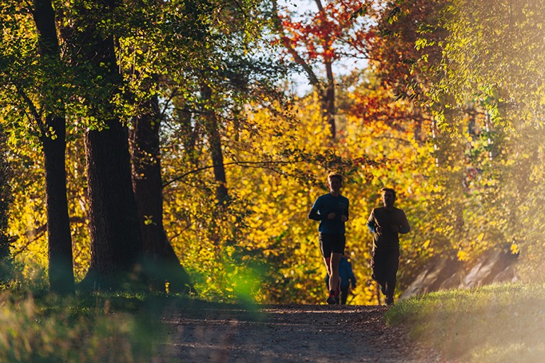 Natursköna promenader och friluftsliv