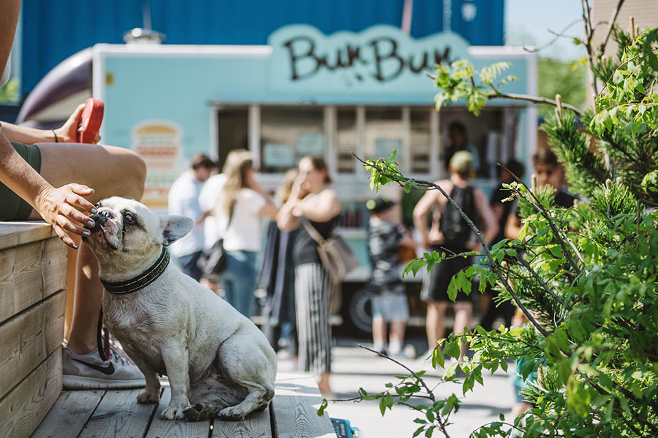 Bli en del av vår stora community