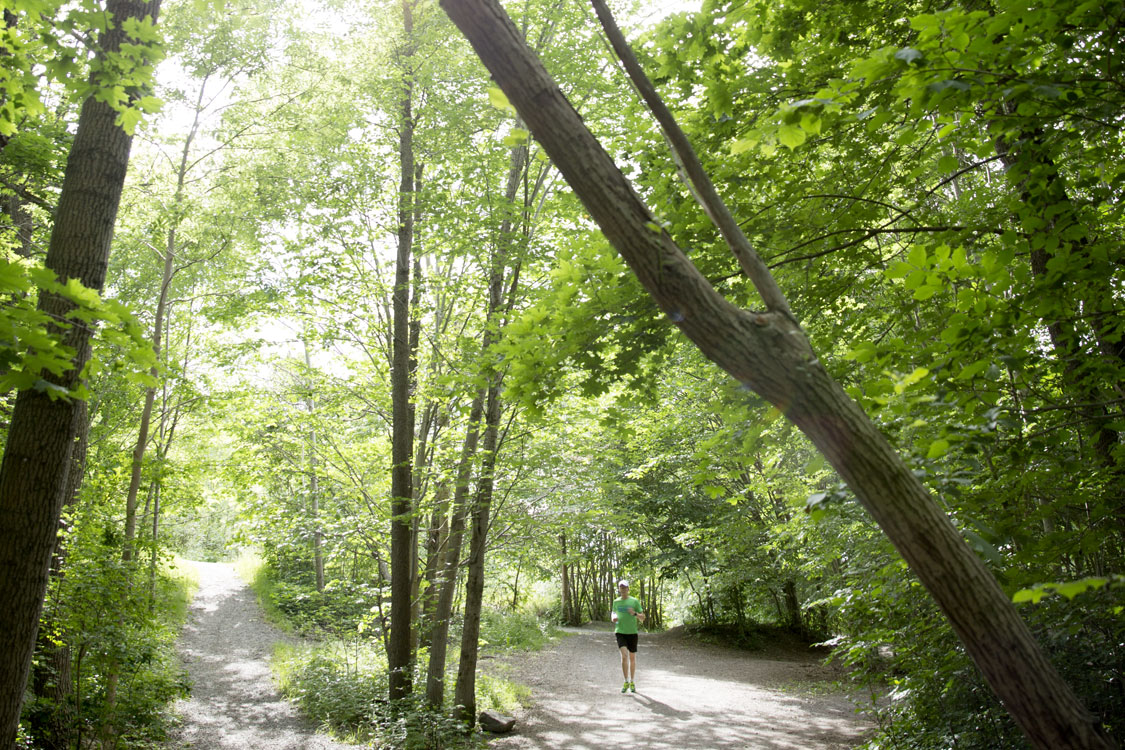 Nackareservatet – 400 m från Nobelberget.
